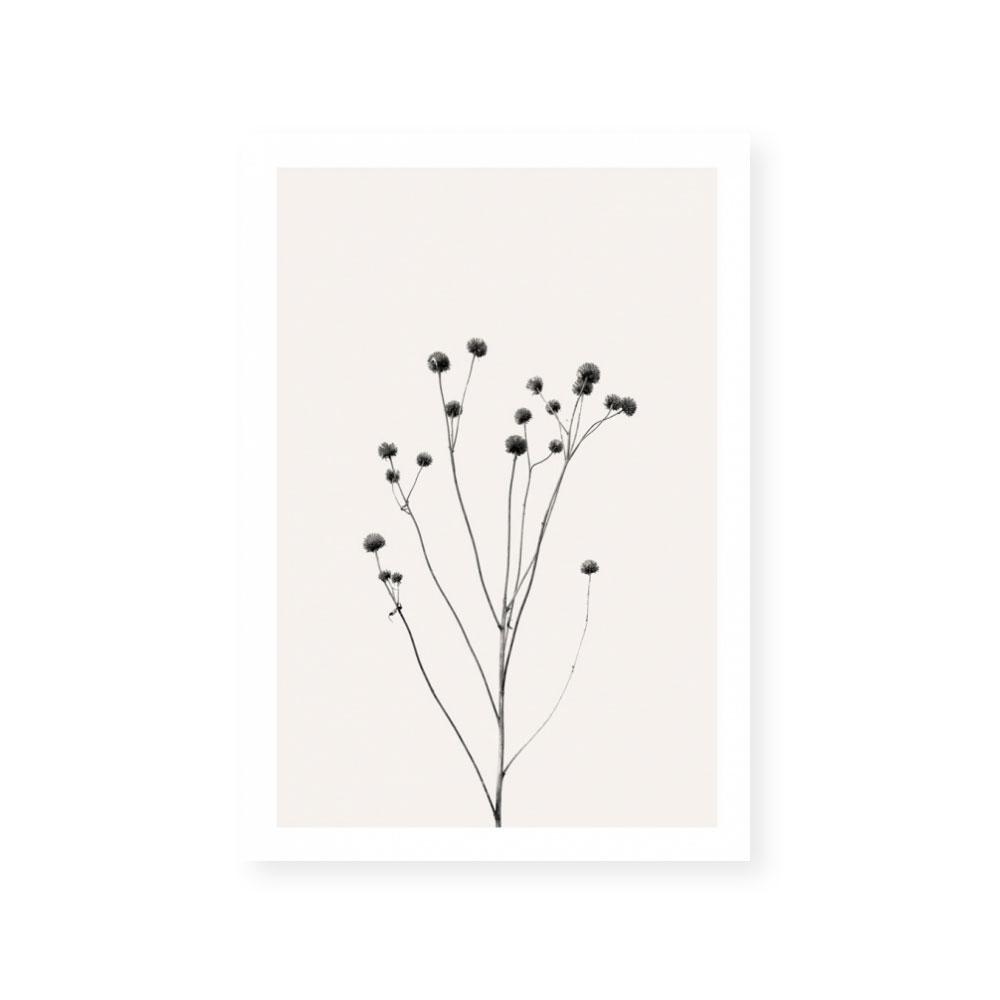Prairie Plant III