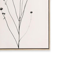 Prairie Plant III