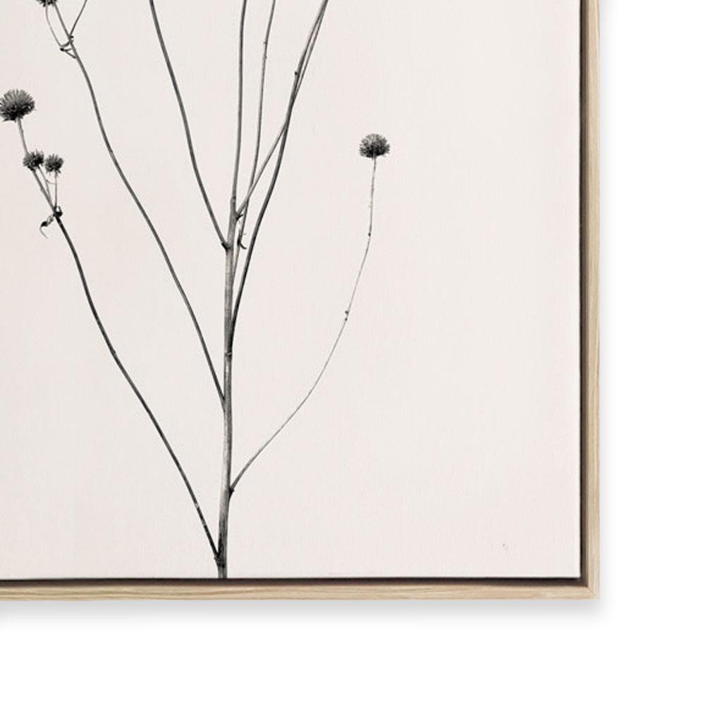 Prairie Plant III