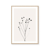 Prairie Plant III