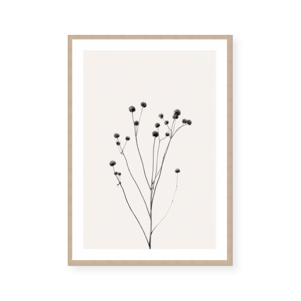 Prairie Plant III