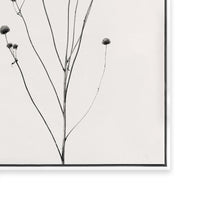 Prairie Plant III