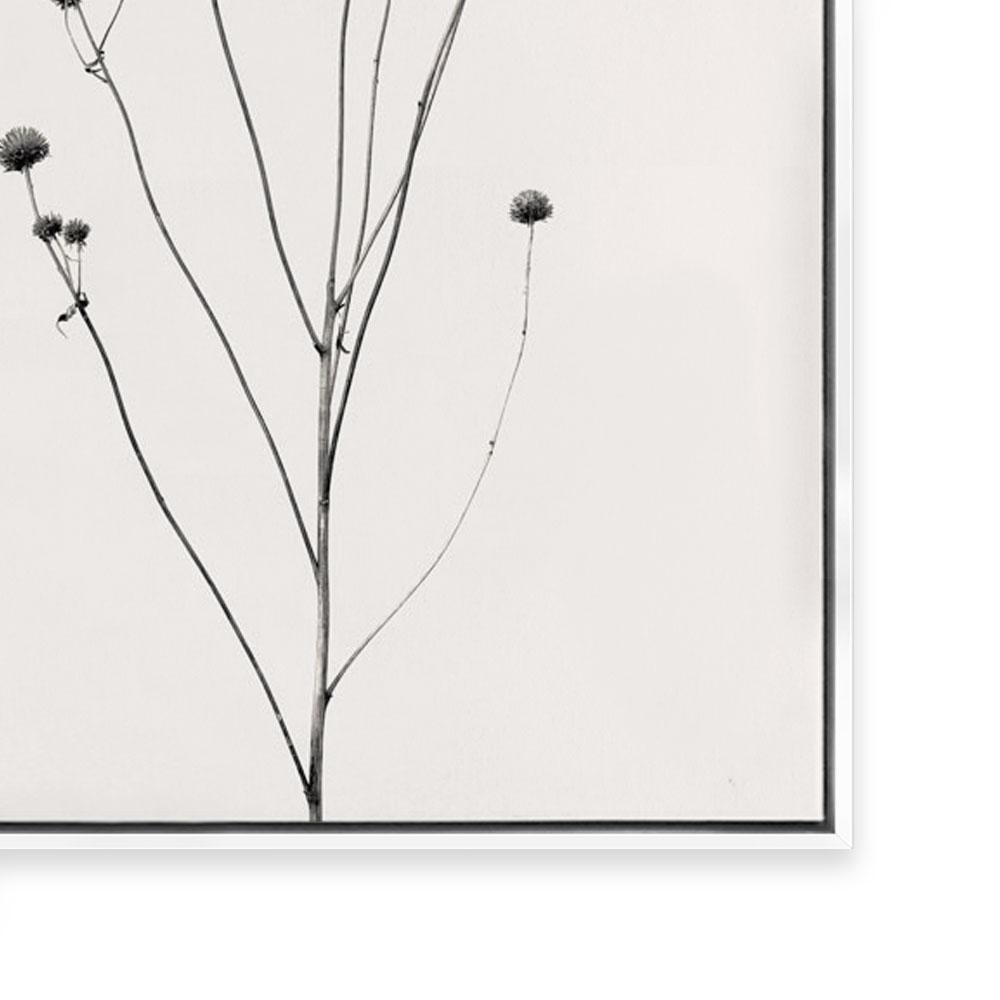 Prairie Plant III
