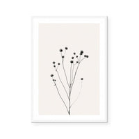 Prairie Plant III
