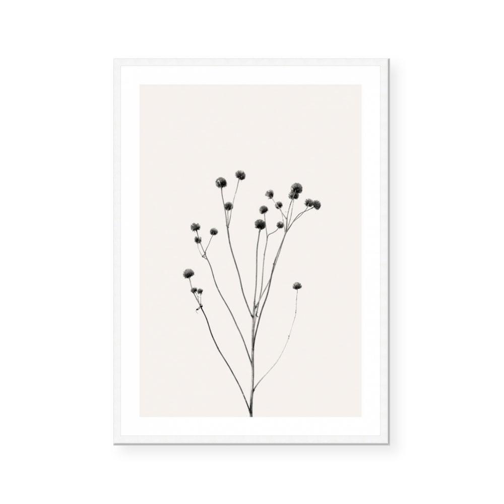 Prairie Plant III
