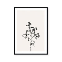 Prairie Plant II