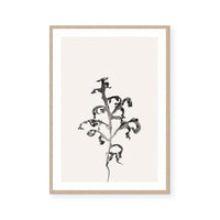Prairie Plant II