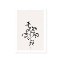 Prairie Plant II