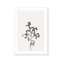 Prairie Plant II
