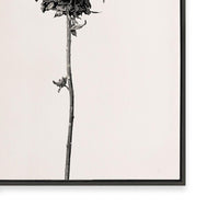 Prairie Plant IV