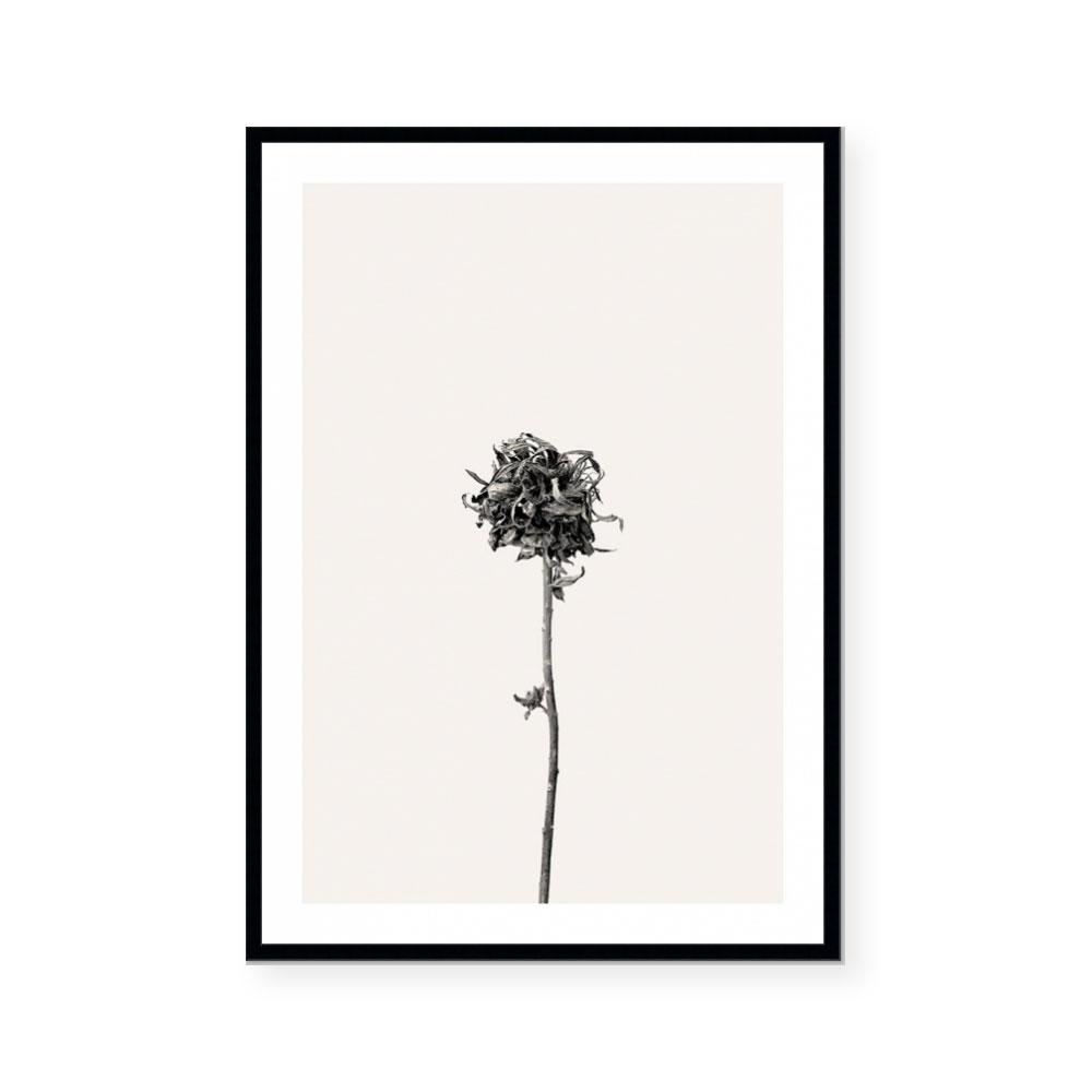 Prairie Plant IV