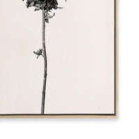 Prairie Plant IV
