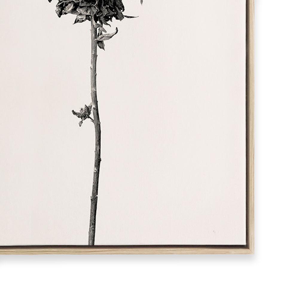 Prairie Plant IV