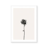 Prairie Plant IV