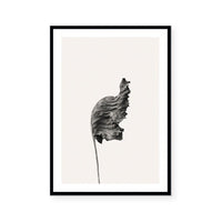 Prairie Plant I