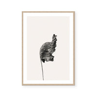 Prairie Plant I