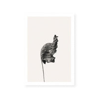 Prairie Plant I