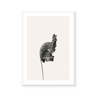 Prairie Plant I