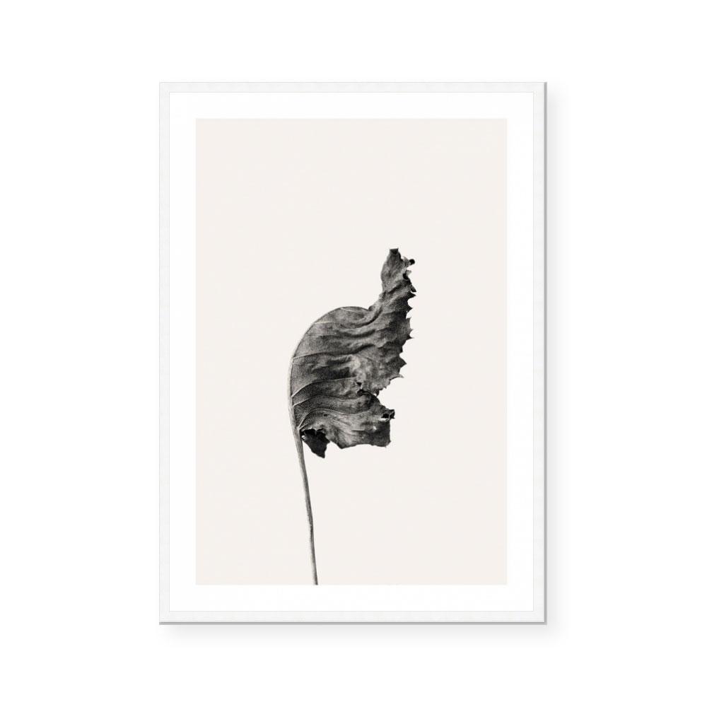Prairie Plant I