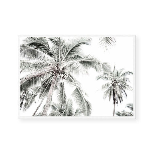 Radiant Light | Landscape