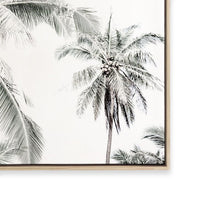 Radiant Light | Landscape