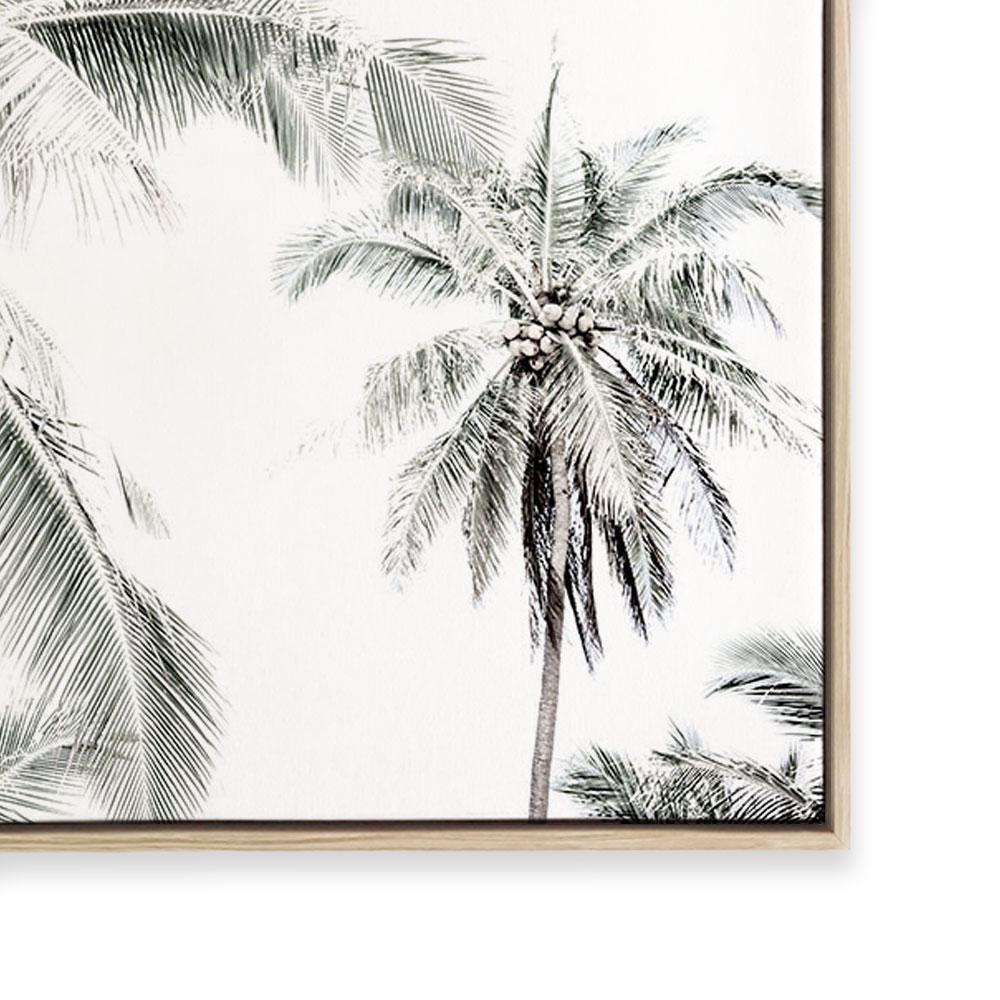 Radiant Light | Landscape