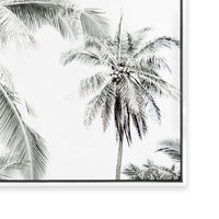 Radiant Light | Landscape