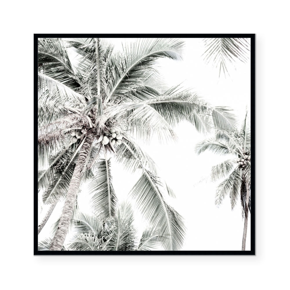 Radiant Light | Square