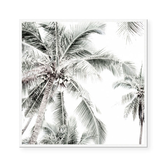 Radiant Light | Square