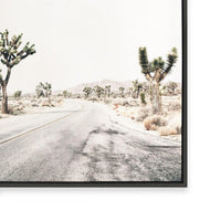 Road Through Joshua Tree
