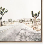 Road Through Joshua Tree