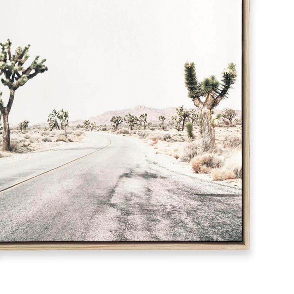 Road Through Joshua Tree