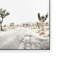 Road Through Joshua Tree