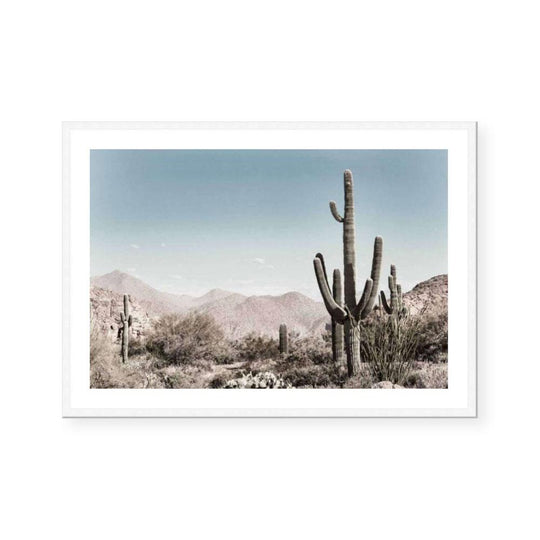 Saguaro