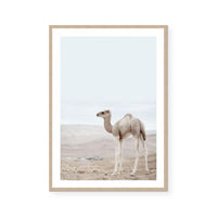 Sahara Calf