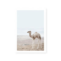 Sahara Calf