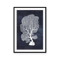 Sea Fan 1 | Navy