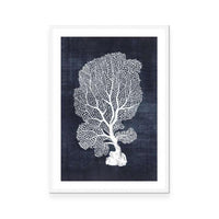 Sea Fan 1 | Navy
