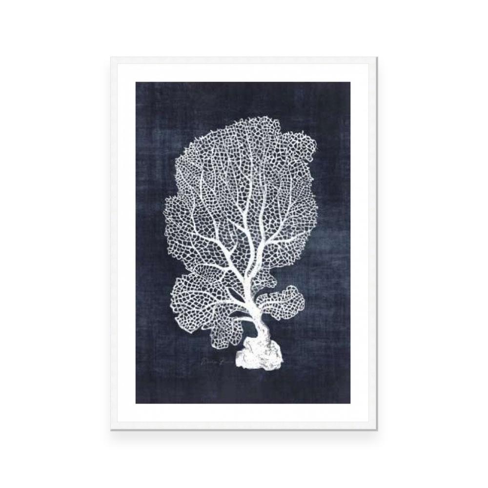 Sea Fan 1 | Navy