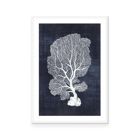 Sea Fan 1 | Navy
