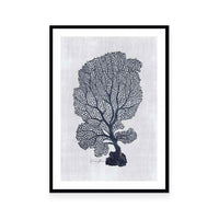 Sea Fan 1 | White