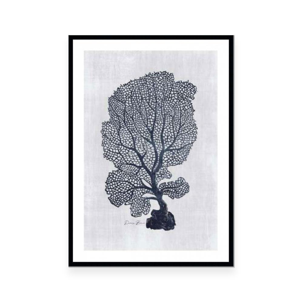 Sea Fan 1 | White
