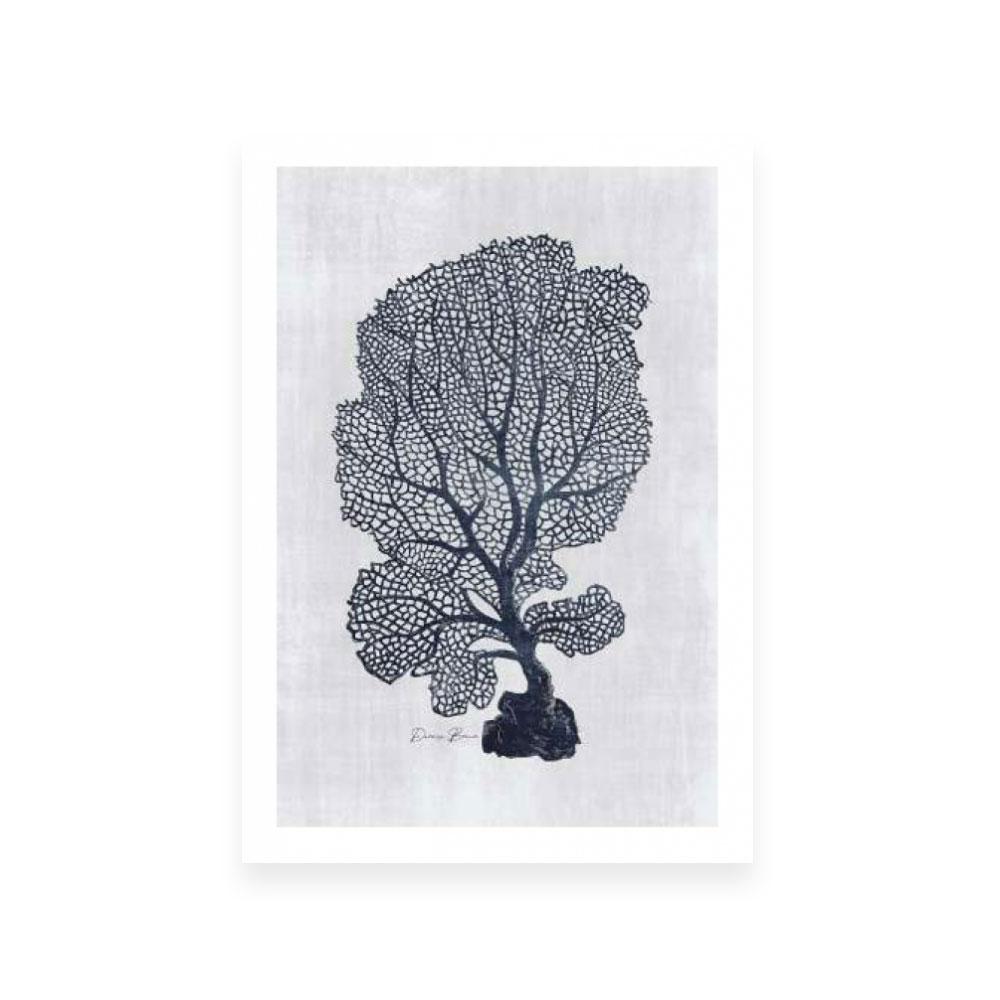 Sea Fan 1 | White