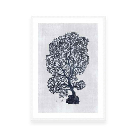 Sea Fan 1 | White