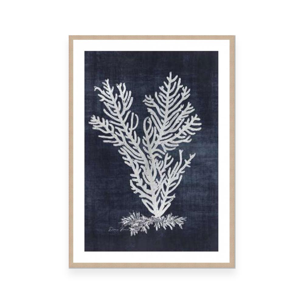Sea Fan 2 | Navy