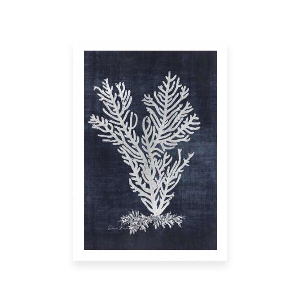Sea Fan 2 | Navy