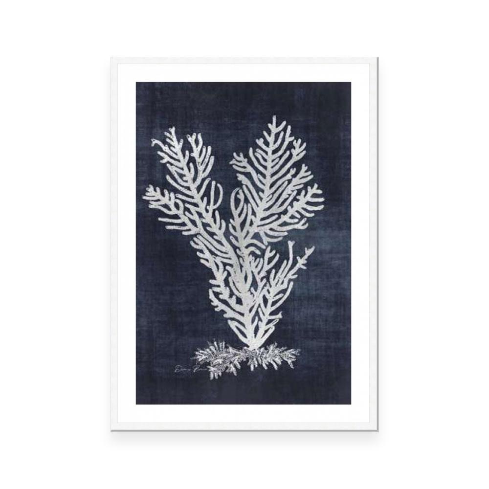 Sea Fan 2 | Navy