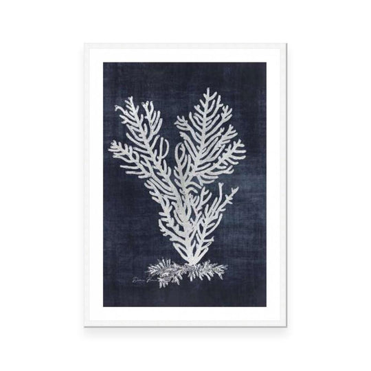 Sea Fan 2 | Navy