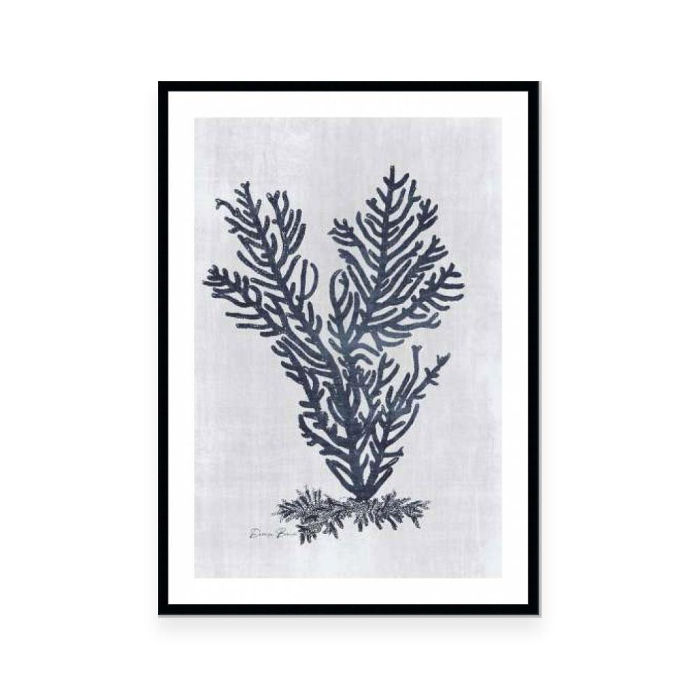 Sea Fan 2 | White