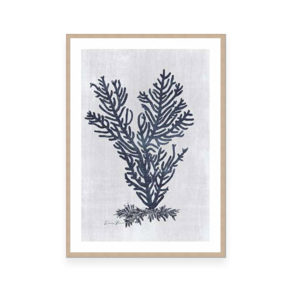 Sea Fan 2 | White